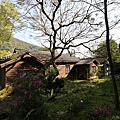 IMG_3650.JPG