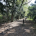 IMG_3686.JPG