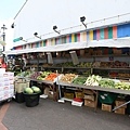 IMG_7482.jpg