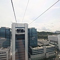 IMG_7767.jpg