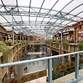 IMG_7947.jpg