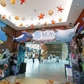 IMG_7784.jpg
