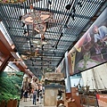 IMG_7795.jpg