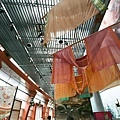 IMG_7804.jpg