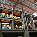 IMG_7811.jpg