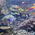 IMG_7842.jpg