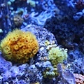 IMG_7845.jpg