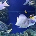 IMG_7846.jpg