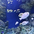 IMG_7847.jpg