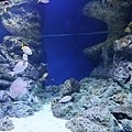 IMG_7848.jpg