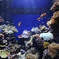 IMG_7849.jpg