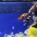IMG_7850.jpg