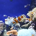 IMG_7851.jpg