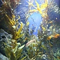 IMG_7852.jpg