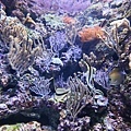 IMG_7854.jpg