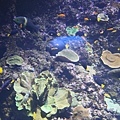IMG_7855.jpg
