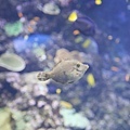 IMG_7858.jpg