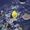 IMG_7861.jpg