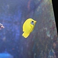 IMG_7863.jpg