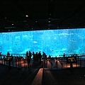 IMG_7865.jpg