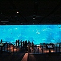 IMG_7866.jpg