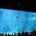 IMG_7868.jpg