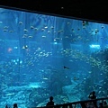 IMG_7872.jpg