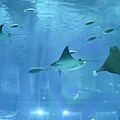 IMG_7873.jpg