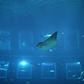 IMG_7875.jpg