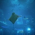 IMG_7876.jpg
