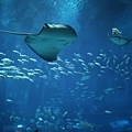 IMG_7878.jpg