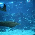 IMG_7882.jpg