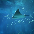IMG_7884.jpg