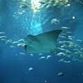 IMG_7885.jpg