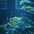 IMG_7891.jpg