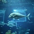 IMG_7893.jpg