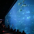 IMG_7894.jpg