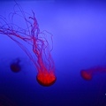 IMG_7897.jpg