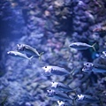 IMG_7924.jpg