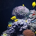 IMG_7926.jpg