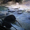 IMG_7928.jpg