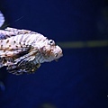 IMG_7935.jpg