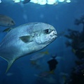IMG_7937.jpg