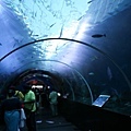 IMG_7939.jpg