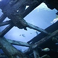IMG_7940.jpg