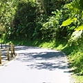 IMG_8328.jpg