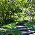 IMG_8349.jpg