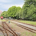 IMG_9825.jpg