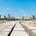 DSC02538-11.jpg
