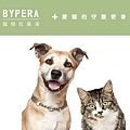 bypera 寵物抗菌液